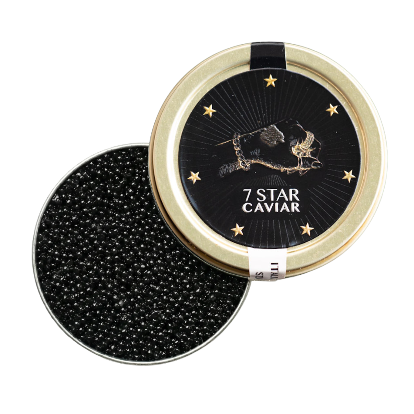 Italian White Sturgeon