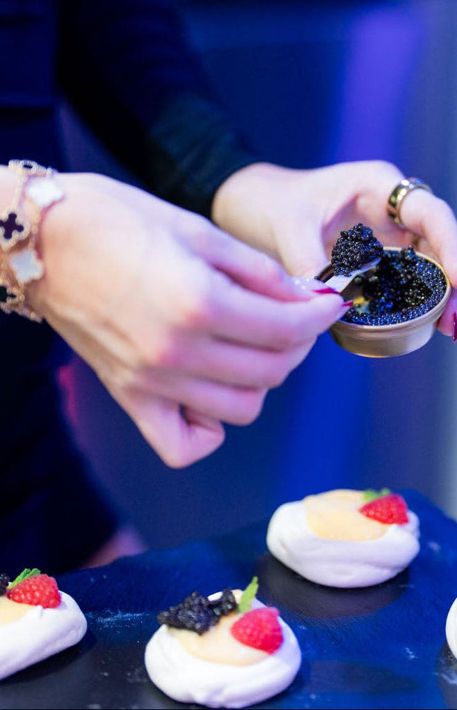 Italian White Sturgeon